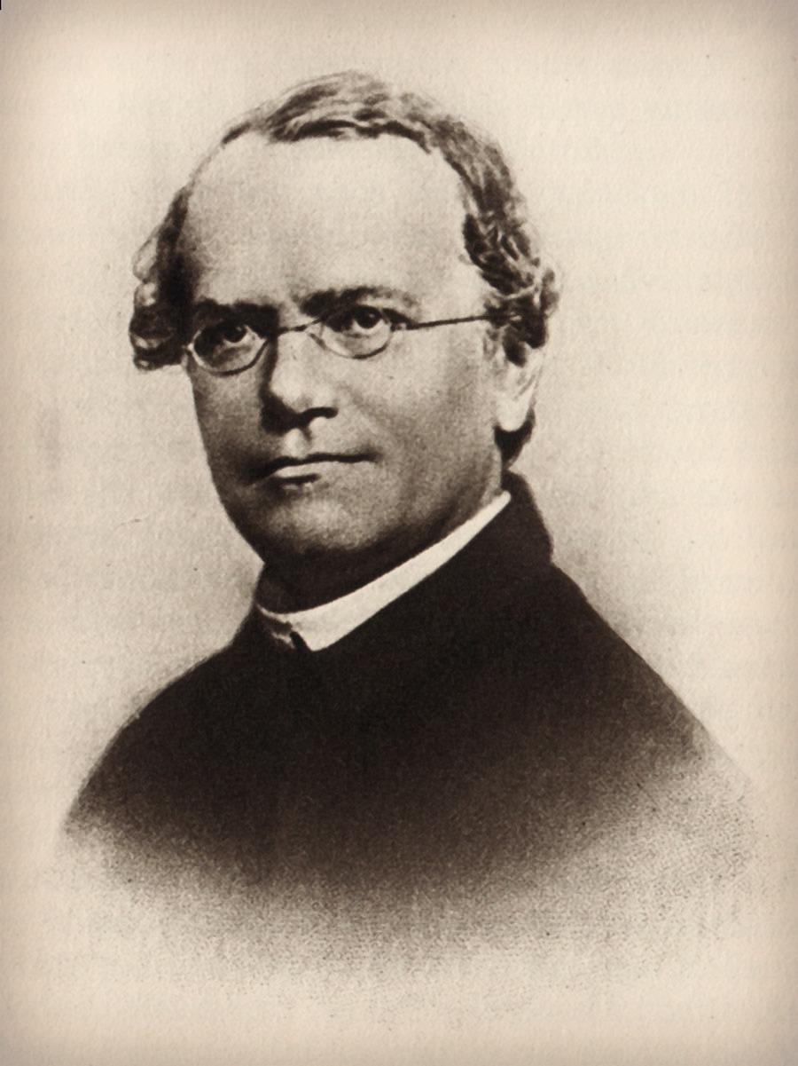 Gregor J. Mendel (1822-1884)
