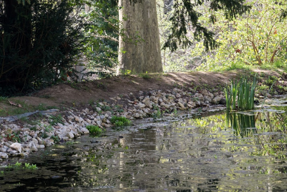 126_pszentlaszlo_arboretum-20180412-20 Egyedi