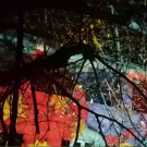 a2936d5b3ec95f81b35a5e97dc6a6b0c_w135_h135_cp