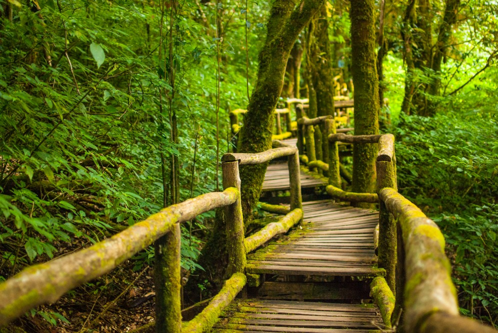 382_shutterstock_193056953_ut