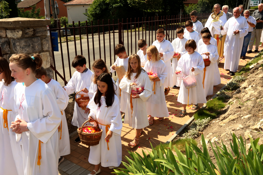 390_Bartfa-urnapi_kormenet_1