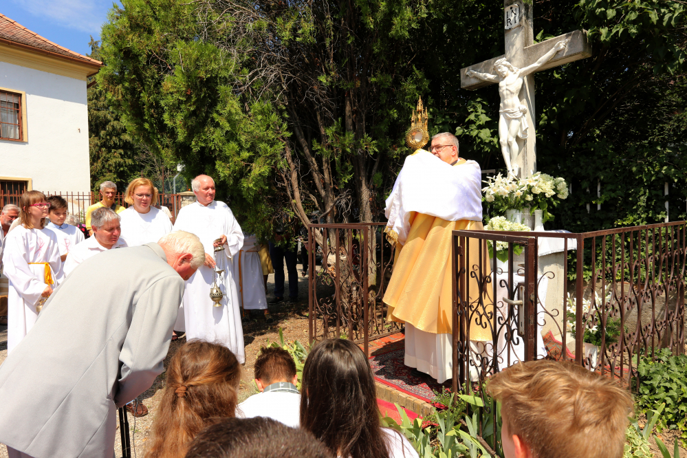 390_Bartfa-urnapi_kormenet_2-2