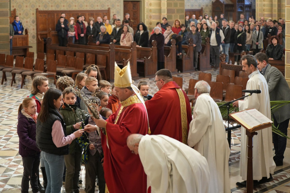 580_Viragvasarnap-2023-12