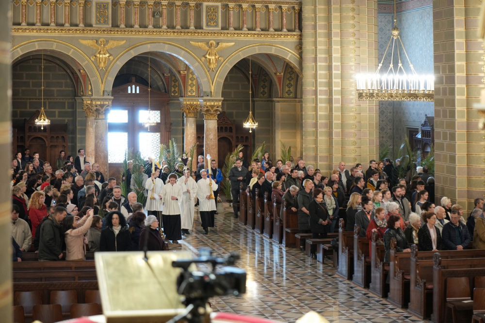 580_Viragvasarnap-2023-17