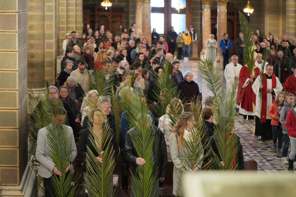 580_Viragvasarnap-2023-18