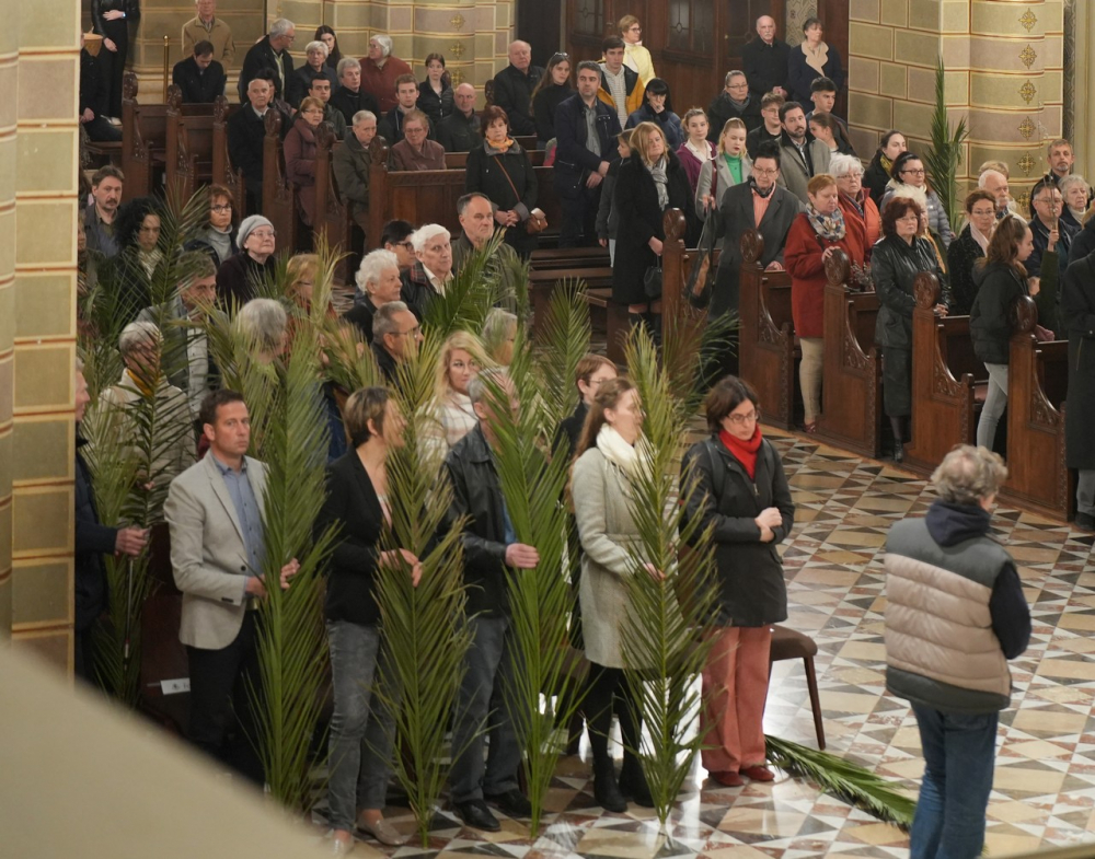 580_Viragvasarnap-2023-49