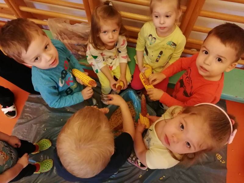 imgi_18_thumb_599_trachtag18