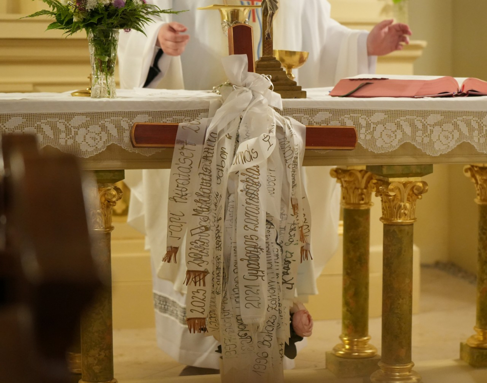 637_Gyalog-papokert-44