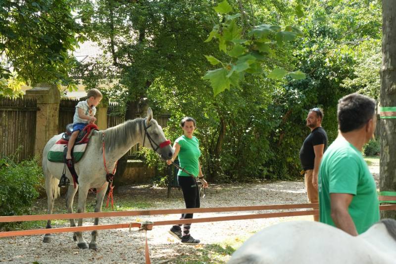 thumb_661_Kovasz-057