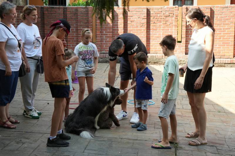 thumb_661_Kovasz-070