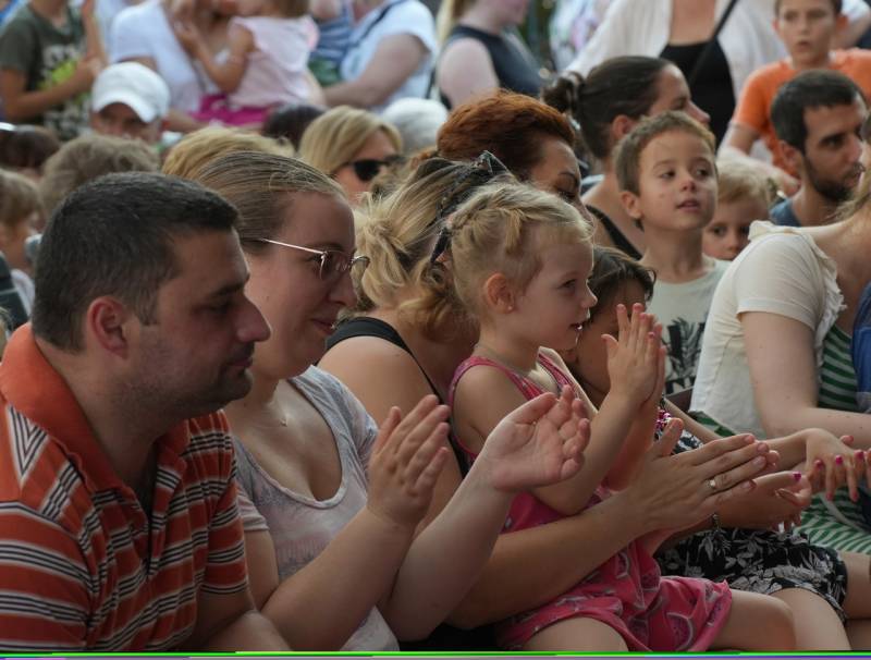 thumb_661_Rozsakert-16