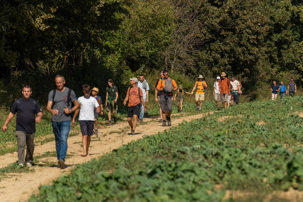 imgi_132_684_2023_apa-fia_zarandoklat_29