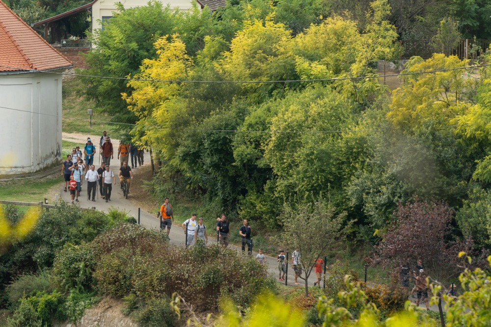 imgi_150_684_2023_apa-fia_zarandoklat_46