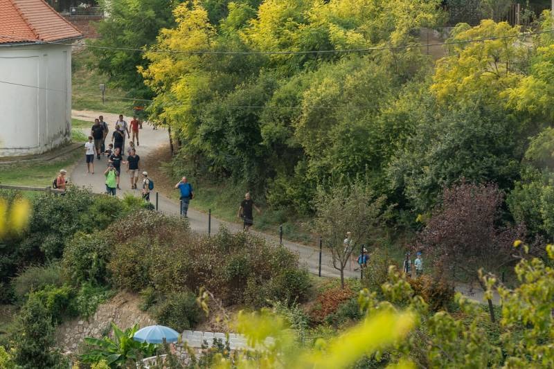 imgi_47_thumb_684_2023_apa-fia_zarandoklat_45