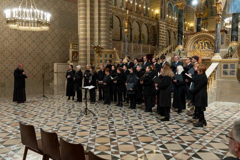 imgi_40_thumb_713_2023_11_palestrina korus_39