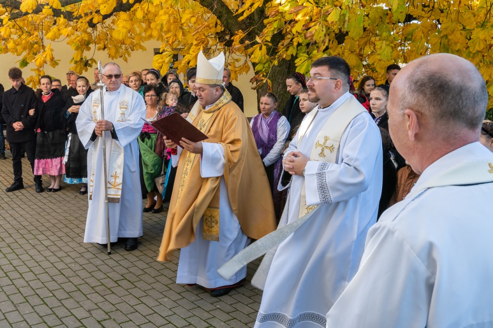 imgi_77_709_2023_11_hassagy_08