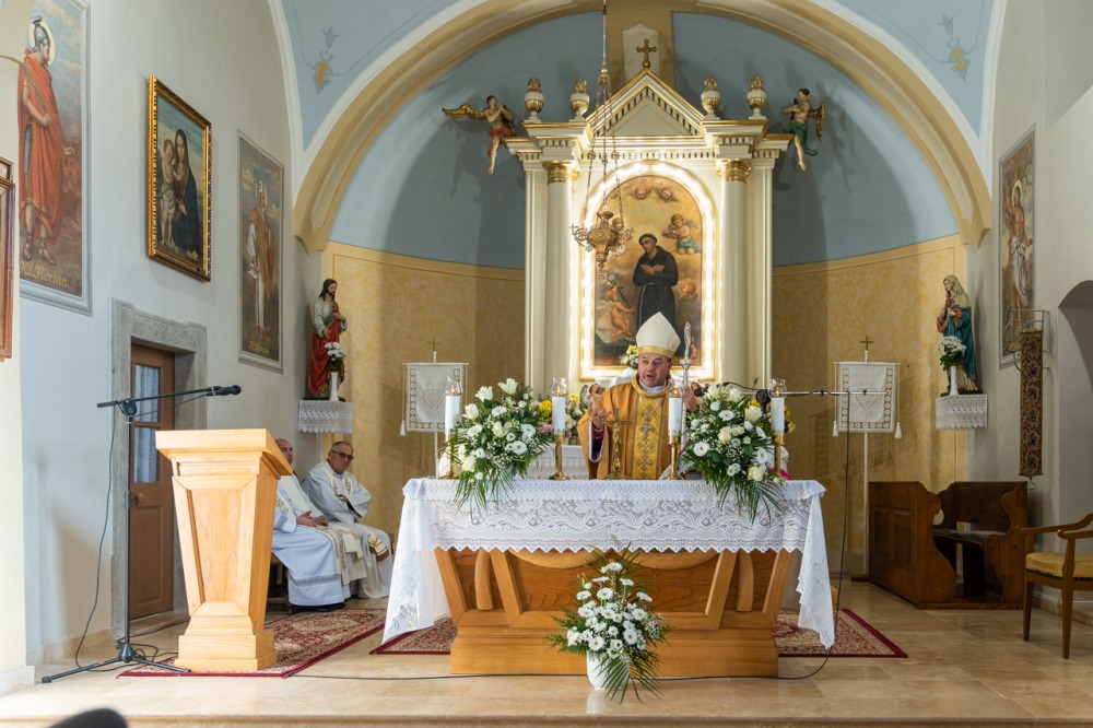 imgi_92_709_2023_11_hassagy_24