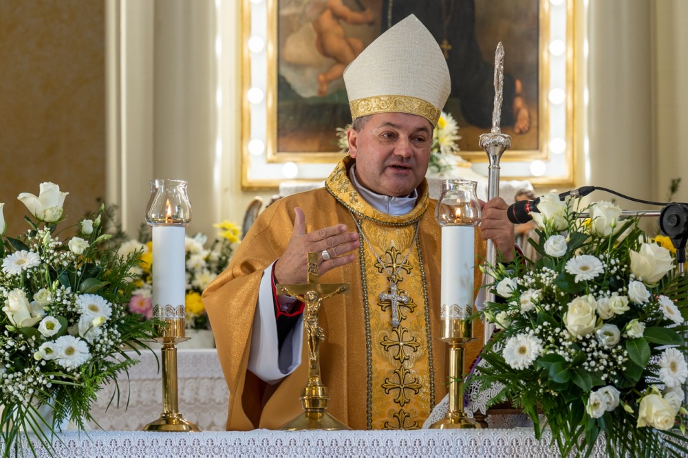 imgi_93_709_2023_11_hassagy_23