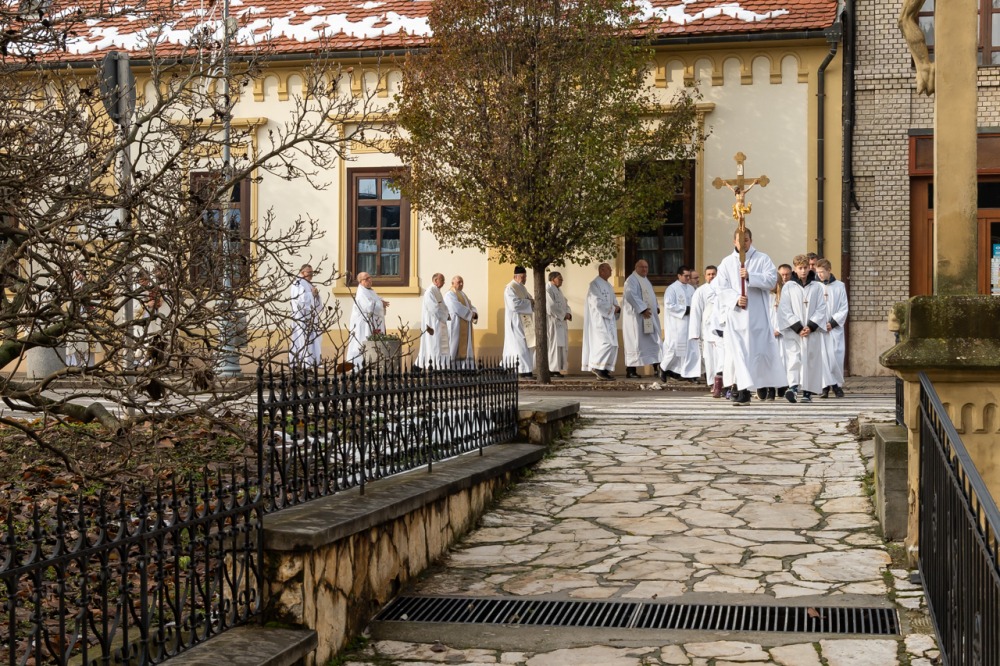 imgi_110_725_2023_12_09_bonyhad