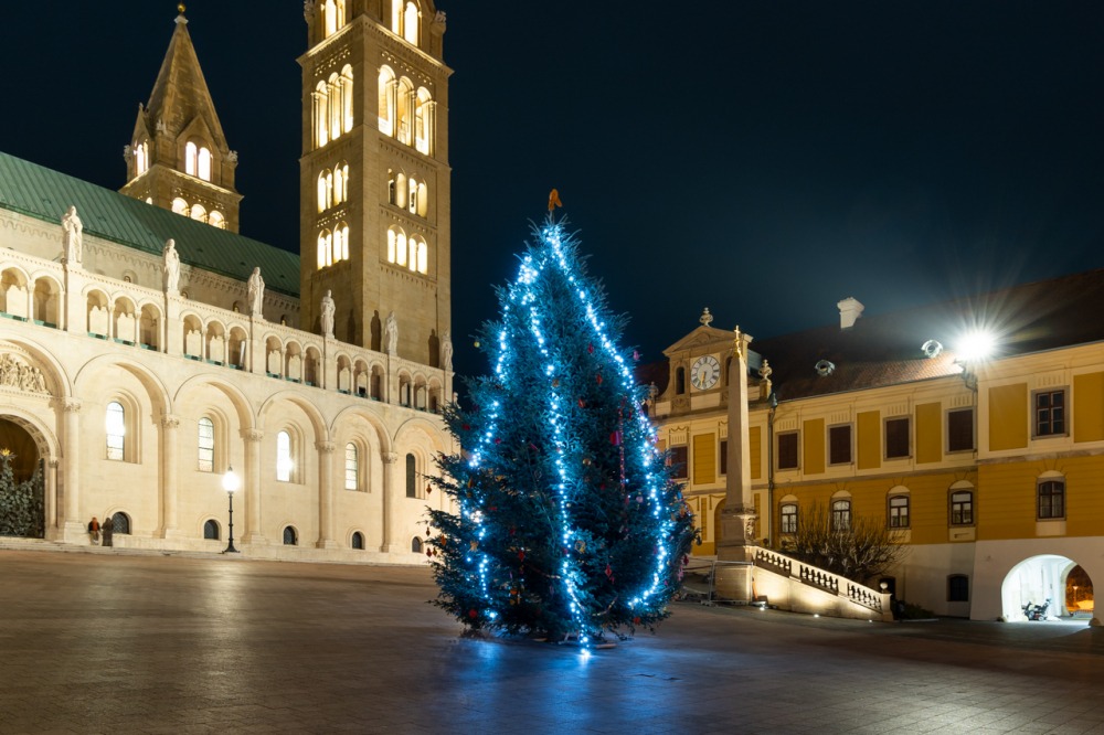 imgi_66_734_2023_12_25_ejfeli_03