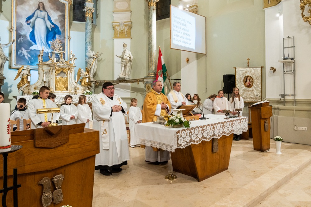 imgi_103_746_2024_01_31_tamasi_28