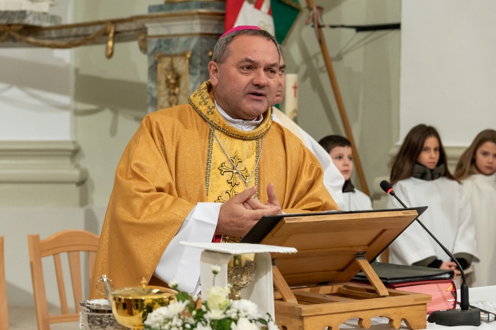 imgi_104_746_2024_01_31_tamasi_30