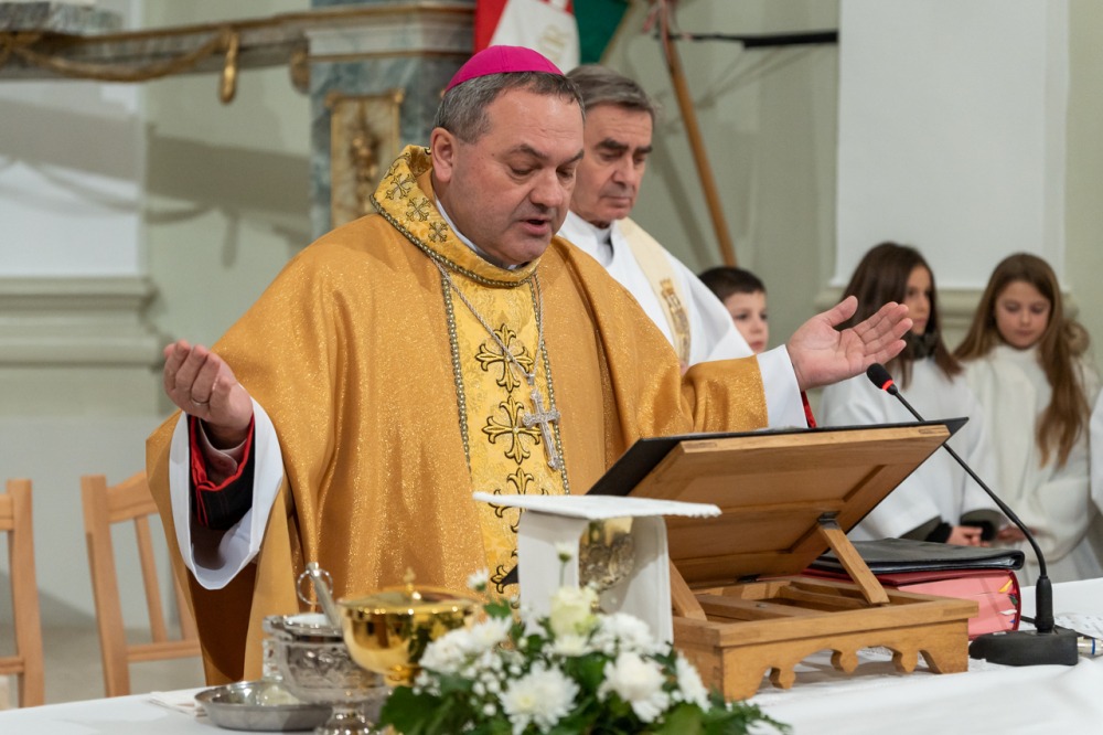 imgi_105_746_2024_01_31_tamasi_31