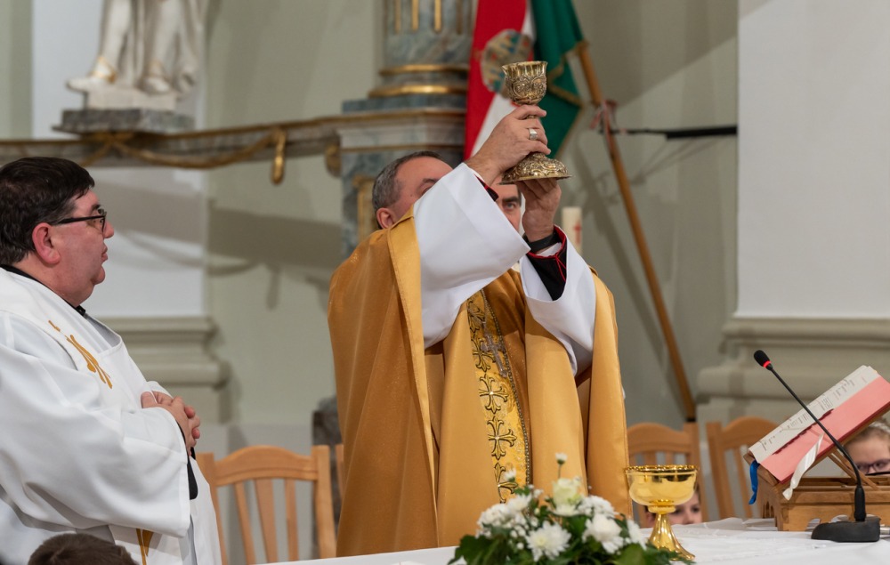 imgi_118_746_2024_01_31_tamasi_45