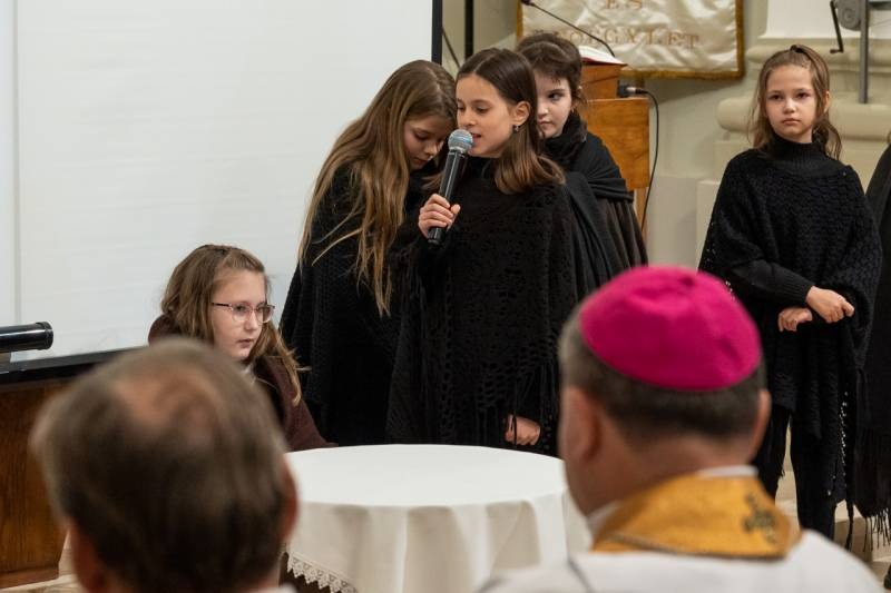 imgi_11_thumb_746_2024_01_31_tamasi_11