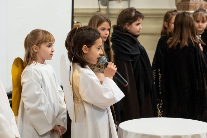 imgi_12_thumb_746_2024_01_31_tamasi_12