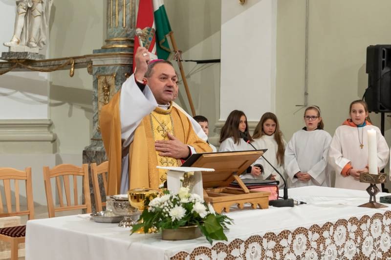 imgi_31_thumb_746_2024_01_31_tamasi_32