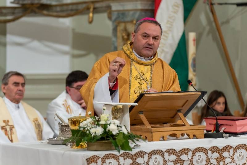 imgi_37_thumb_746_2024_01_31_tamasi_37