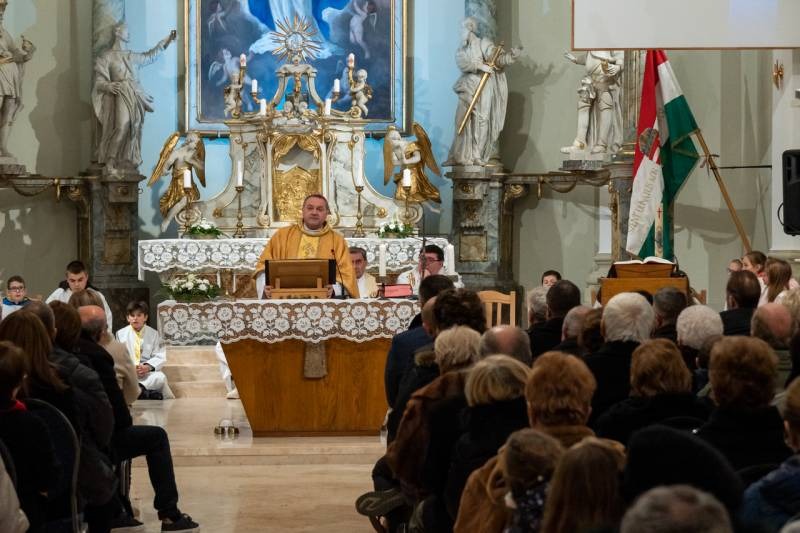 imgi_40_thumb_746_2024_01_31_tamasi_42