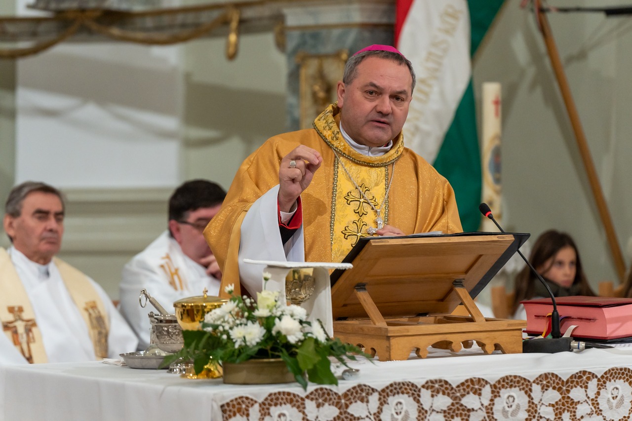 imgi_55_2024_01_31_tamasi_37