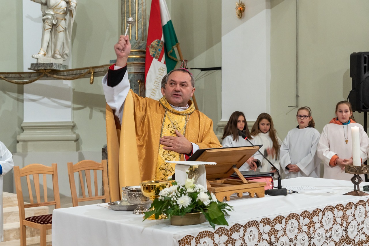 imgi_58_2024_01_31_tamasi_33