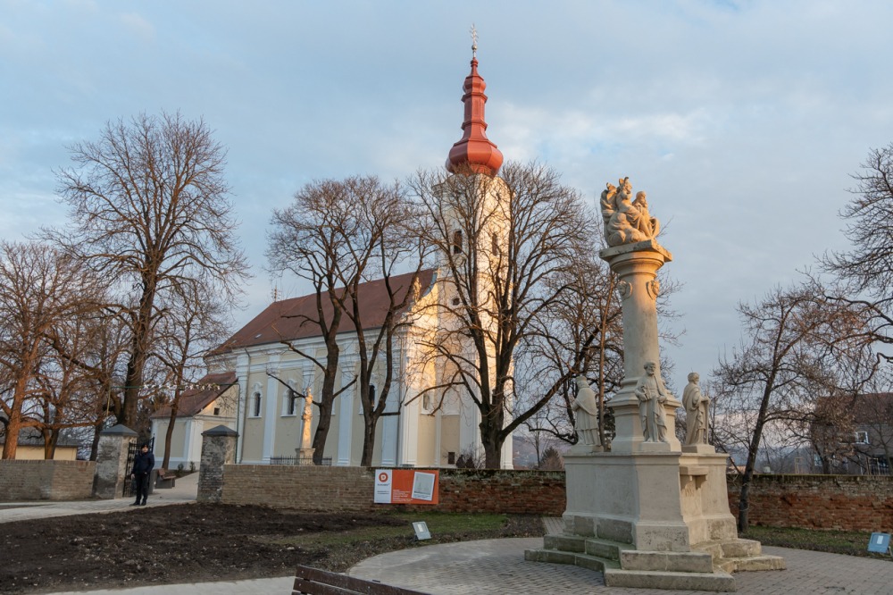 imgi_79_746_2024_01_31_tamasi_04