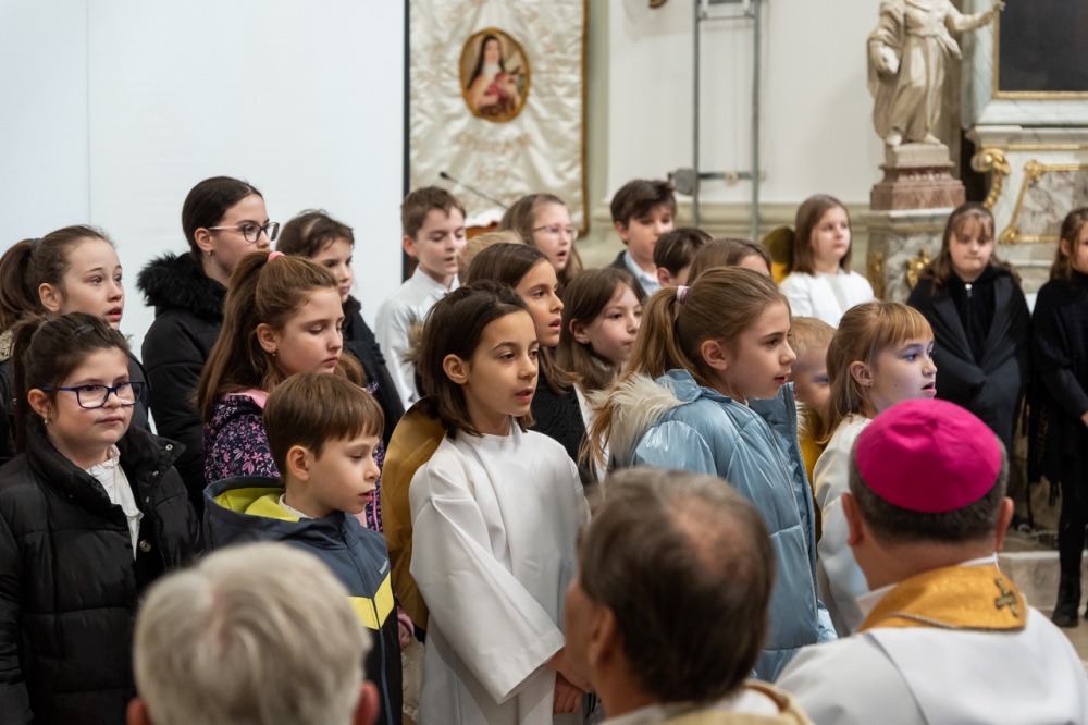 imgi_90_746_2024_01_31_tamasi_15