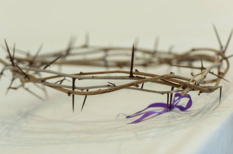 imgi_5_thumb_757_2024_02_18_tamasi_07