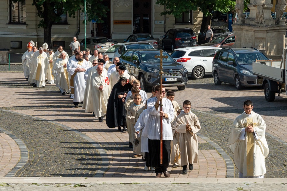 imgi_135_785_2024_05_12_szekszard mayer biro_02