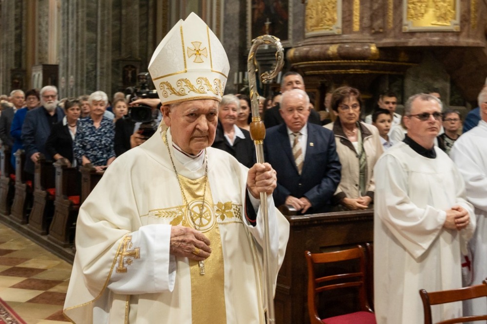 imgi_139_785_2024_05_12_szekszard mayer biro_06