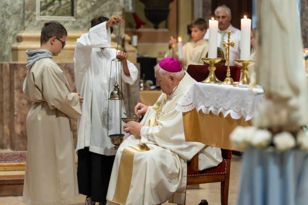 imgi_166_785_2024_05_12_szekszard mayer biro_33