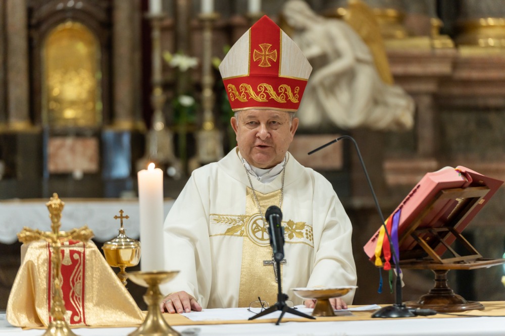 imgi_169_785_2024_05_12_szekszard mayer biro_37