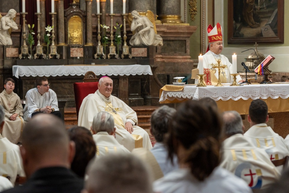 imgi_178_785_2024_05_12_szekszard mayer biro_47