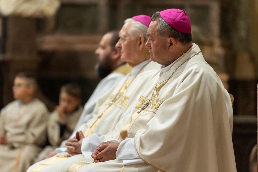 imgi_184_785_2024_05_12_szekszard mayer biro_53