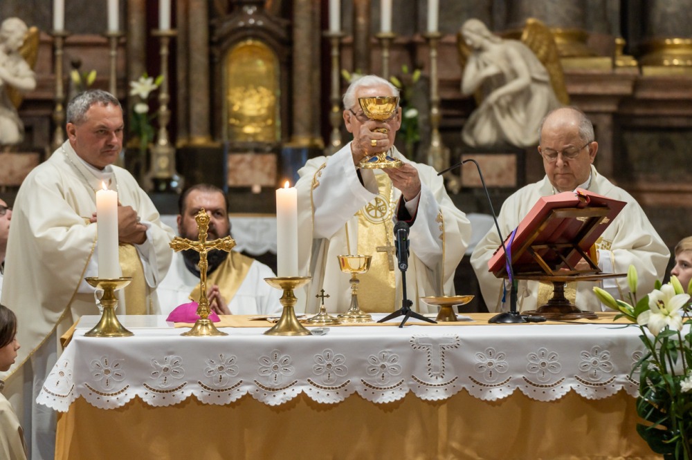 imgi_196_785_2024_05_12_szekszard mayer biro_65