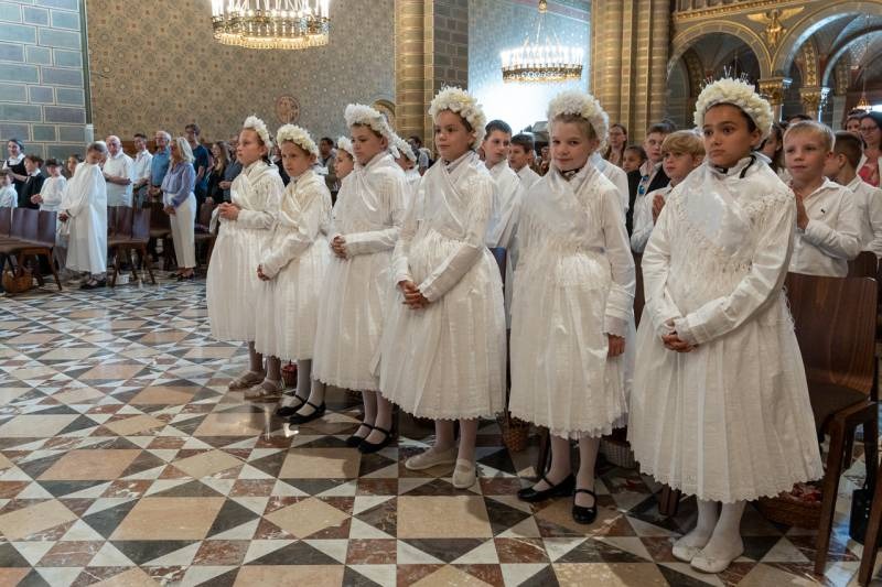 imgi_5_thumb_794_2024_06_02_urnapja pecs_02