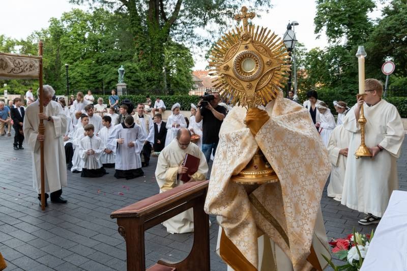 imgi_66_thumb_794_2024_06_02_urnapja pecs_66