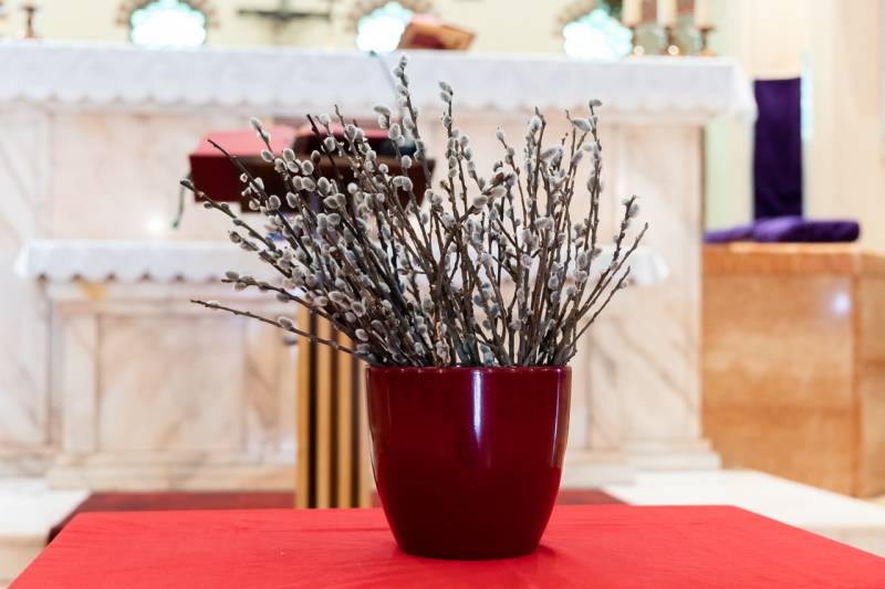 imgi_4_thumb_766_2024_03_24_dzsami