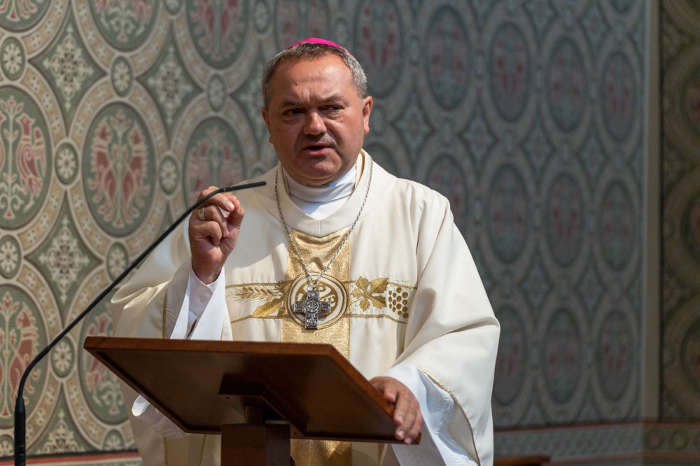 imgi_54_827_2024_09_11_temesvari elso_13