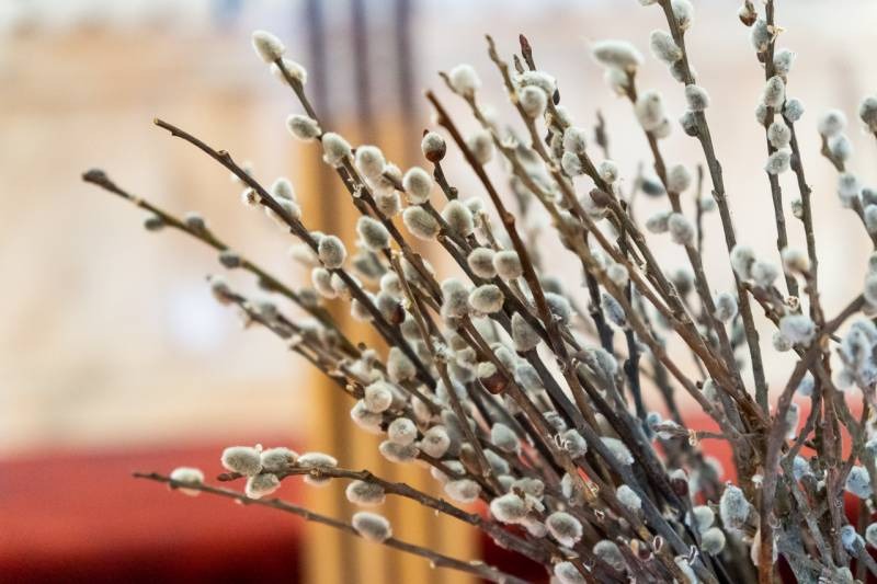 imgi_5_thumb_766_2024_03_24_dzsami_02